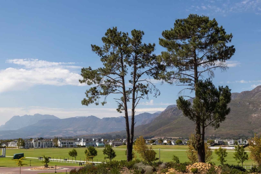 Commercial Property for Sale in Val De Vie Estate Western Cape